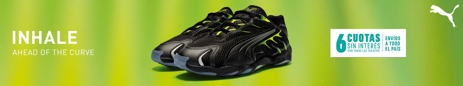 Puma Inverse Q2